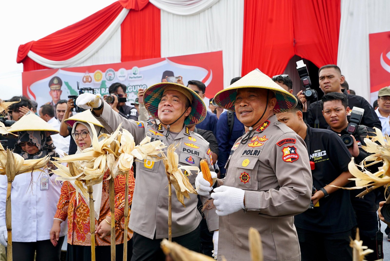 Kolaborasi Polri dan Kementan: Panen Raya Jagung di Madiun Dorong Swasembada Pangan