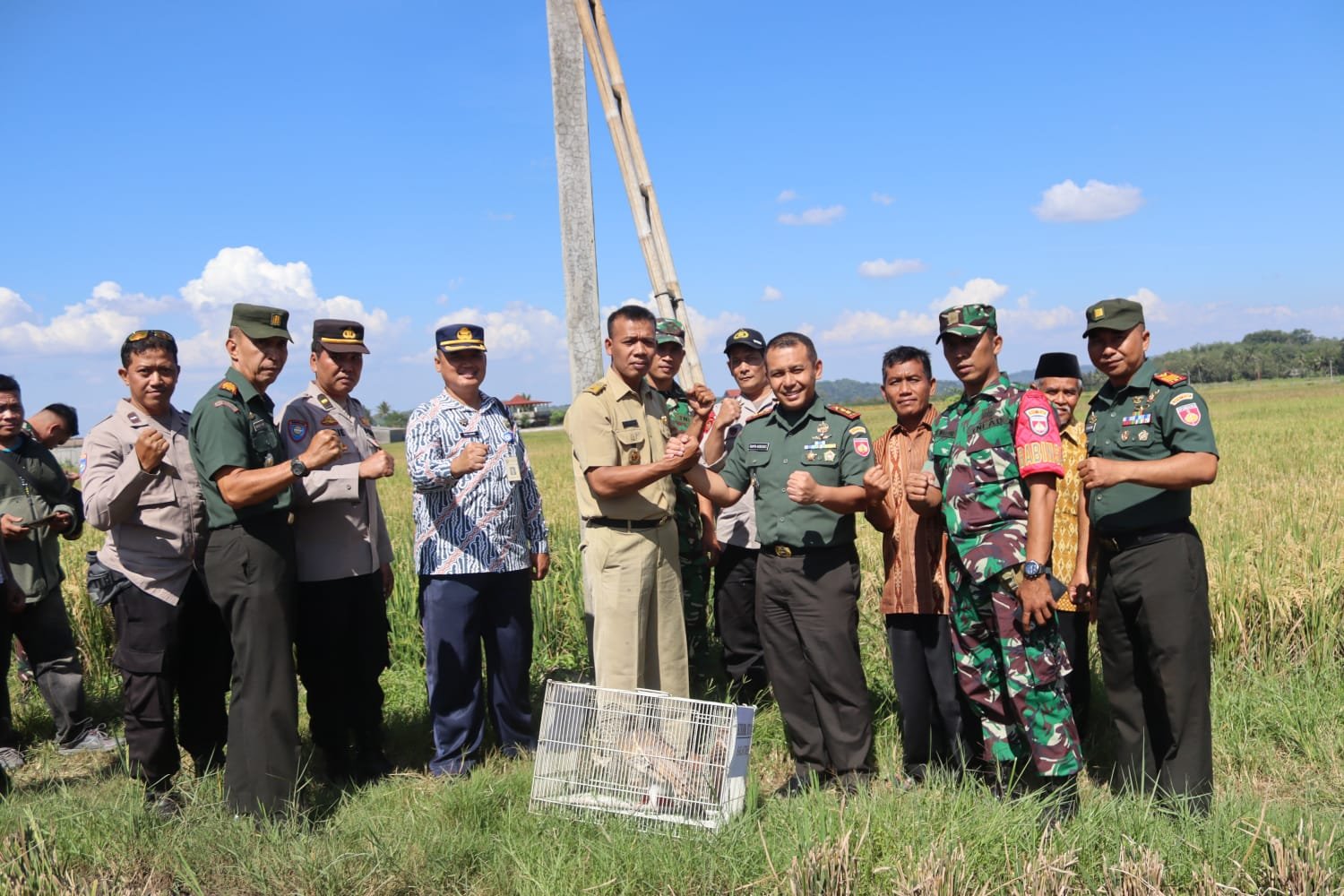 Kodim 0714/Salatiga Lepas Burung Hantu Tyto Alba, Satukan Konservasi dan Kepedulian Sosial di Desa Giling