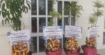 Unair Komitmen Tinggalkan Karangan Bunga, Ganti dengan Bibit Tanaman untuk Sambut Guru Besar