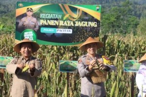 Sinergi Tanpa Batas: Polres Pacitan dan Petani Arjosari Panen Harapan Ketahanan Pangan